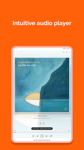 VLC for Android screenshot 11